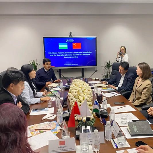 Missmeeca went to Kazakhstan and Uzbekistan for economic and trade visits and study tours