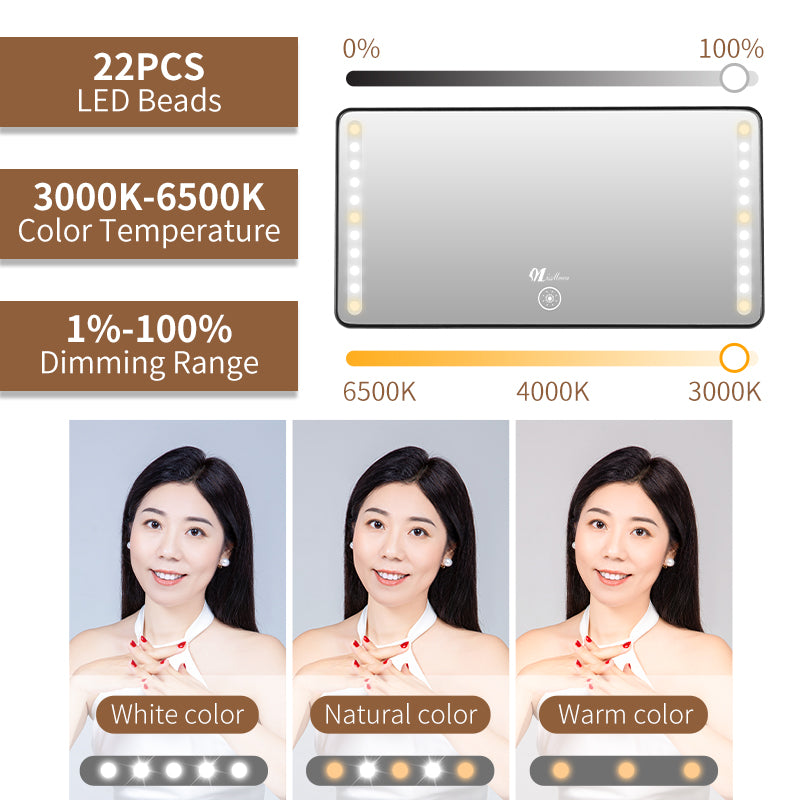 Vehicle-mounted LED Makeup Mirror with High Definition Light for Co-Driver's Visor